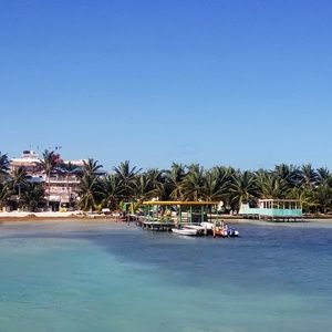 Meet your Posher, Holly